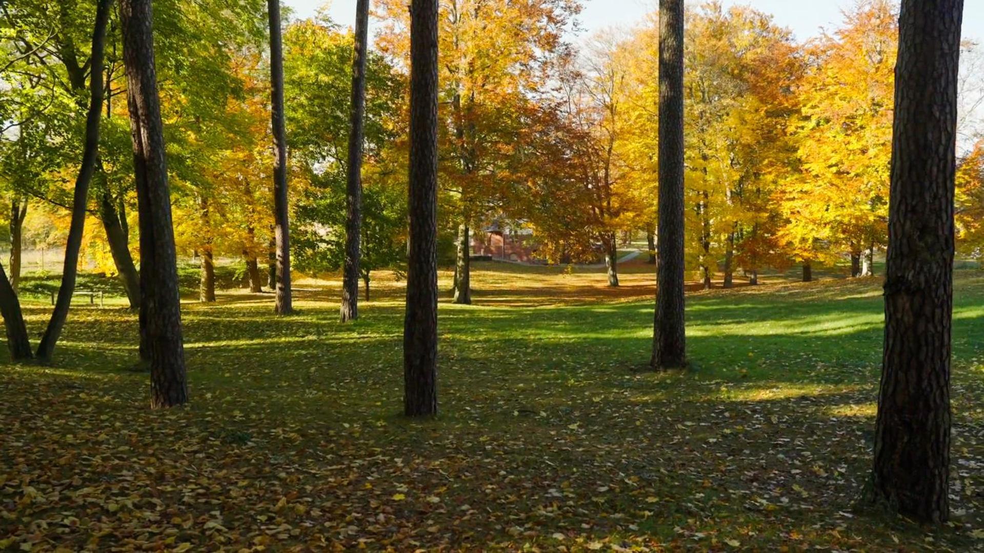 Parkresidenz Lychen, Ferienwohnung 4 Buitenkant foto